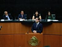 Reconoce Partido Verde avances y retos en materia de desarrollo social