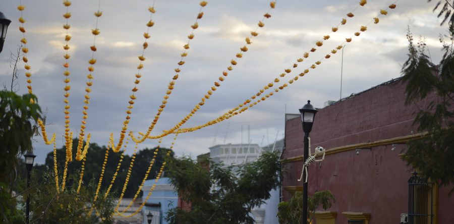 Todo listo para celebrar la tradición de Día de Muertos en Oaxaca