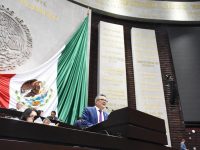 El Presidente de la República debe entregar su informe de manera personal ante el Congreso: Carol