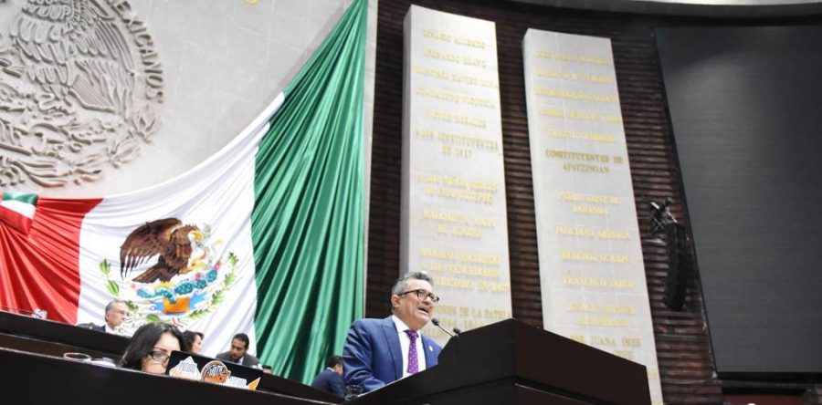 El Presidente de la República debe entregar su informe de manera personal ante el Congreso: Carol