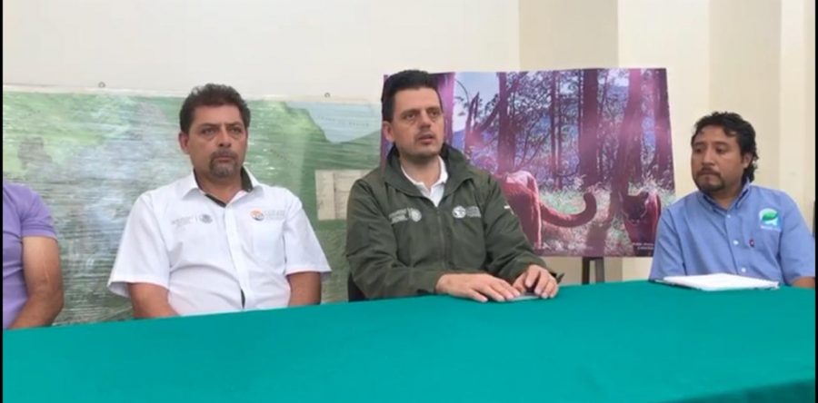 Anuncian el Foro para la Preservación de Felinos en áreas naturales protegidas