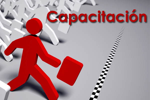 De los ninis a los sisis, la capacitación es la clave: *Francisco Ángel Maldonado Martínez