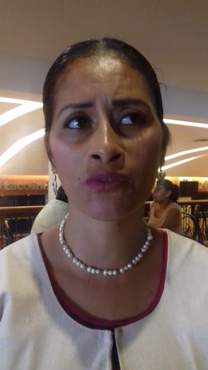 He sufrido acoso sexual, incluso en la Cámara de Diputados: Paola Gutiérrez Galindo