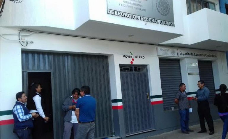 Omisa Semarnat ante presunción de deforestación en Miahuatlán