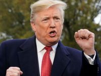 Las midterms en Estados Unidos y la derrota de Trump: *Francisco Ángel Maldonado Martínez