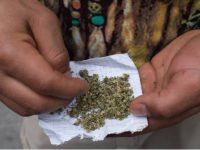 Advierte Cofepris que no habrá permisos “automáticos” para mariguana lúdica