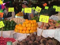 Aumentó en un año 19.9% el sector agroalimentario: GCMA