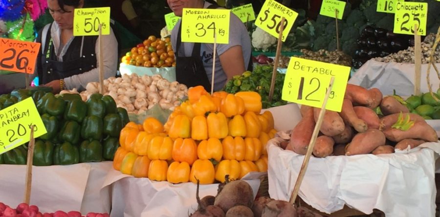 Aumentó en un año 19.9% el sector agroalimentario: GCMA