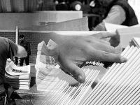 Autoriza México importaciones de pollo de 26 plantas brasileñas