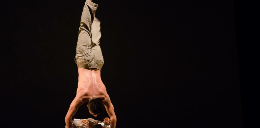 Fortalecerá Compañía Estatal Danza Contemporánea trabajo artístico