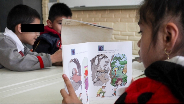 Declara la SEP que México ya es un país plenamente alfabetizado