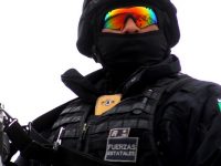 Depuración fallida: estados tienen entre 30 y 50 % de sus policías reprobados