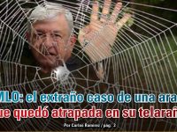 AMLO: el extraño caso de una araña que quedó atrapada en su telaraña: Carlos Ramírez