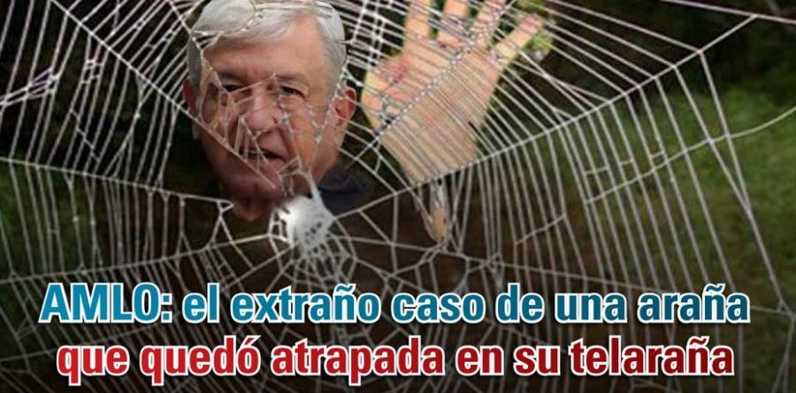 AMLO: el extraño caso de una araña que quedó atrapada en su telaraña: Carlos Ramírez
