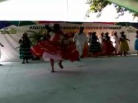 Todo un éxito el Festival Costeño en la capital del estado