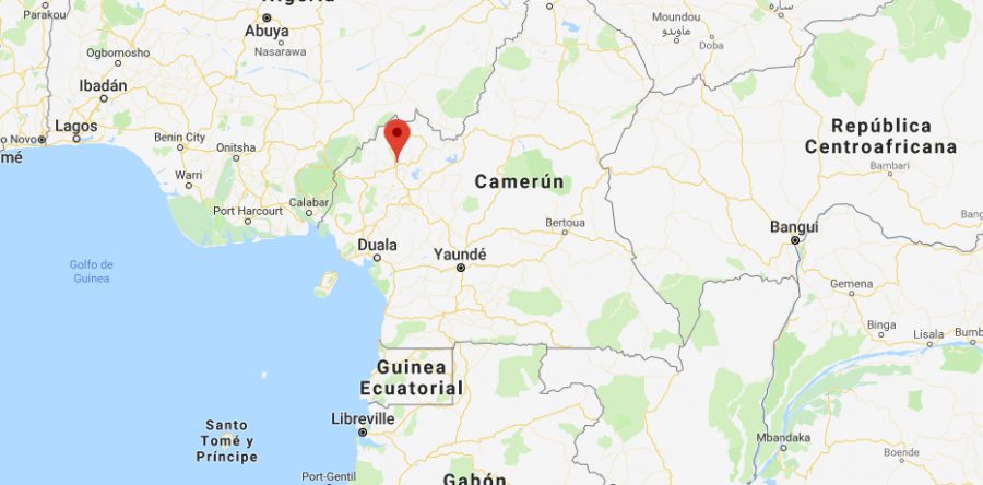 Hombres armados secuestran a 78 estudiantes en Camerún