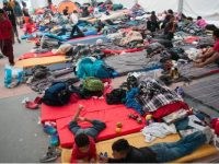 La mayoría de los migrantes han rechazado oferta de refugio: Segob