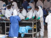 Localizan en 10 años mil 978 fosas en México