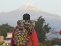 Migrantes en Veracruz parten hacia la Ciudad de México