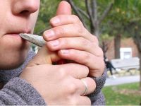 Morena presenta en el Senado propuesta para regular el uso de la mariguana