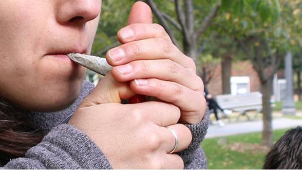 Morena presenta en el Senado propuesta para regular el uso de la mariguana