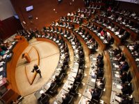 Morena promueve protección de mascotas, pero aplaza un año dotar de autonomía a fiscalía