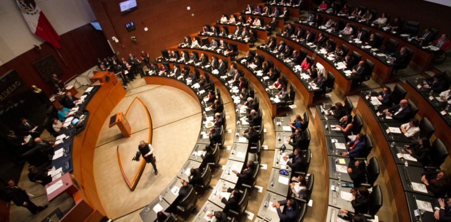 Morena promueve protección de mascotas, pero aplaza un año dotar de autonomía a fiscalía