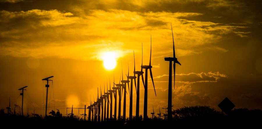 Oaxaca, líder nacional en la generación de energía eólica en México