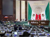 Prohíben a diputados usar primera clase en viajes internacionales