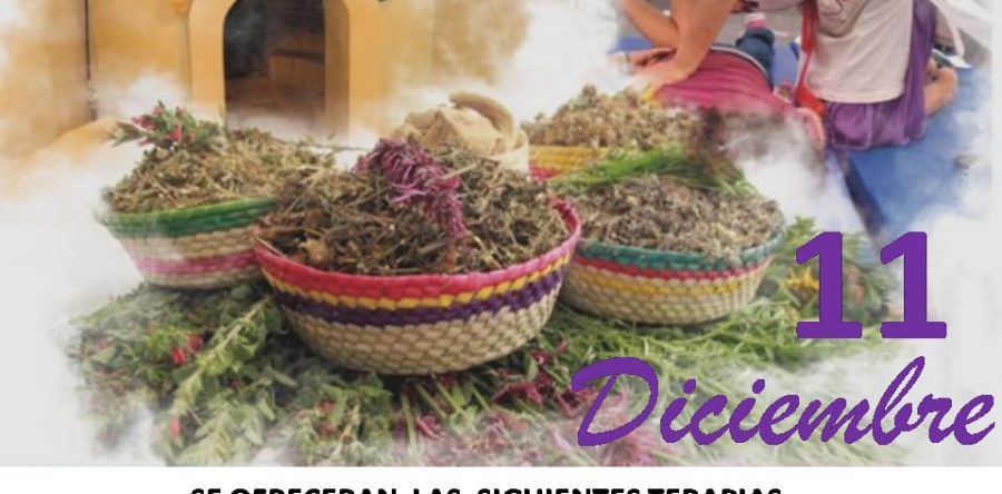 Invitan a la segunda feria de medicina tradicional en diciembre