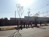 Siembran 16 árboles en la colonia Reforma