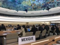 Tasa de impunidad “lastimosamente” alta, reconoce México ante ONU