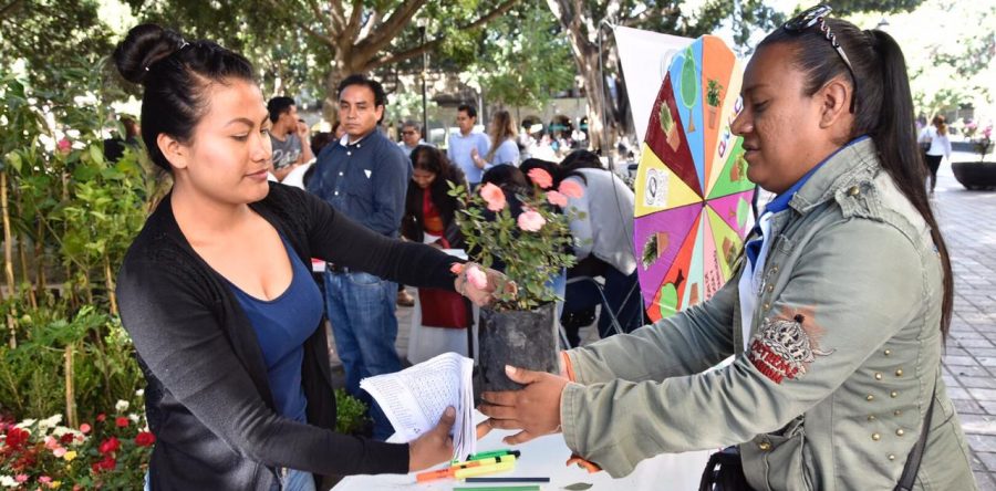 Actividades lúdicas y ecológicas sobresalen en el “Miércoles Libre ¡Vive el Centro!”