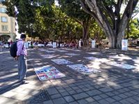 Realiza el Ayuntamiento Capitalino el miércoles sin ambulantes