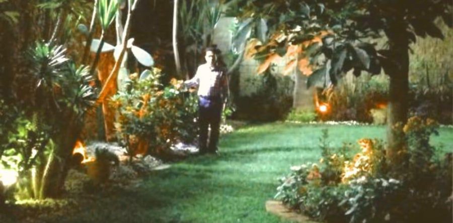 Ganancias millonarias y beneficios personales ha dejado el IEEPO a Julián Luria López