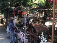 En el panteón de San Juan Chapultepec se realiza el tradicional lunes de panteón