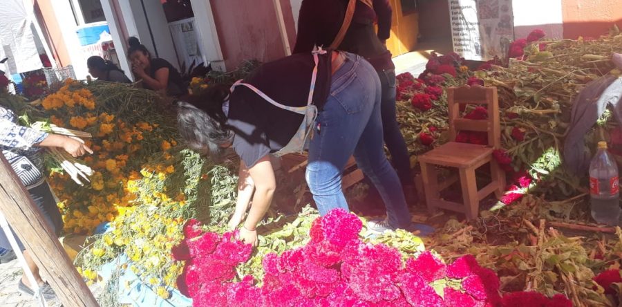 Reconocen comerciantes que ventas estuvieron bajas, invitan a visitar Panteón General