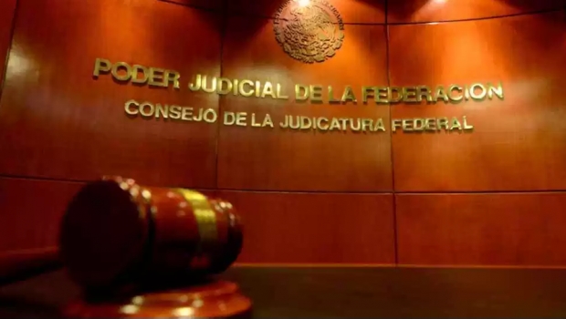 Detectan 14 parientes de magistrado laborando en juzgados y tribunales