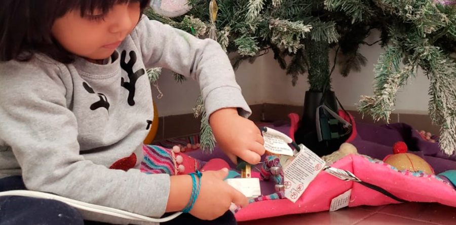 Emite SSO recomendaciones para evitar accidentes en el hogar por estas vacaciones