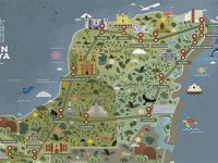 Construcción del Tren Maya tardará 4 años