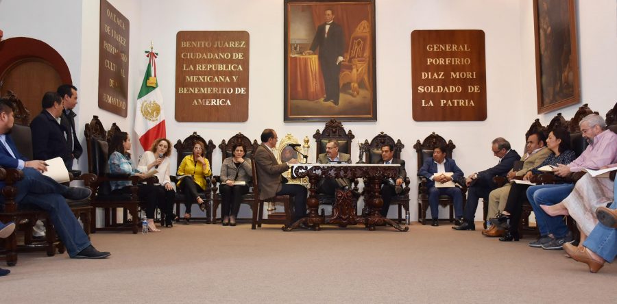 Aprueba Cabildo Municipal Reglamento de Arbolado Urbano