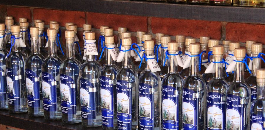 Continúa defensa por la Denominación de Origen Mezcal