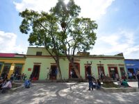 Miércoles Libre, una oportunidad para disfrutar de la ciudad