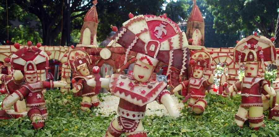 Todo listo para la 121 edición de la Noche de Rábanos