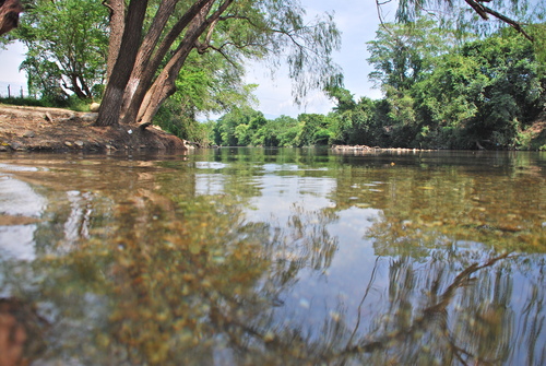 Persona desaparecida en Río Ostuta y el deceso de una en el Papaloapan: CEPCO