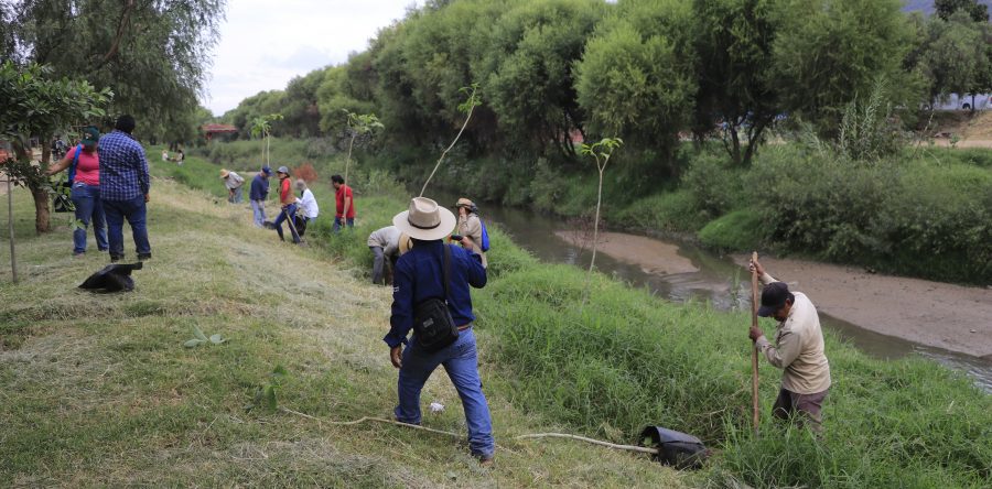 Siembran 130 árboles en las riberas del Río Atoyac