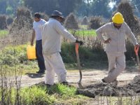 Senado busca más cambios legales para combatir huachicoleo
