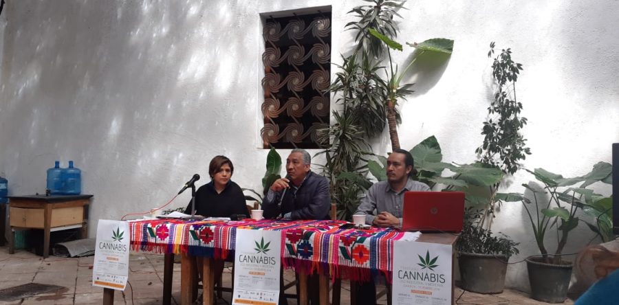 Anuncian 1er Foro Estatal “Canabis, uso industrial y medicinal”