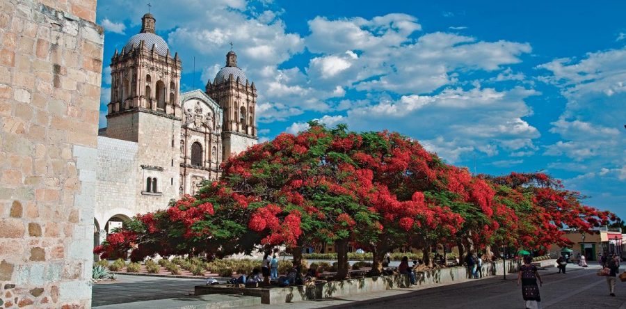 Incremento del 7% en el Presupuesto de Egresos 2019 para Oaxaca