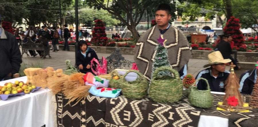 Realizan en el zócalo de la ciudad la  primera Expo feria cultural “Ñuu Dau”